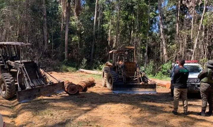 Apreensão e perda de maquinário usado em crime ambiental não dependem de má-fé do proprietário